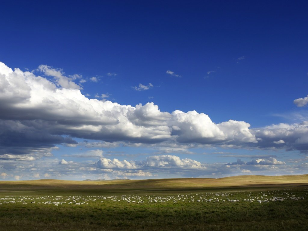 Обои небо, облака, поле, горизонт, голубое небо, the sky, clouds, field, horizon, blue sky разрешение 6000x3375 Загрузить