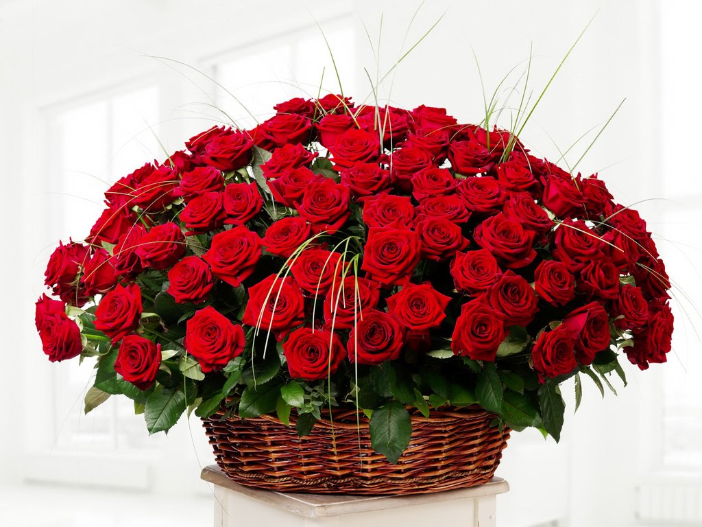 Обои цветы, розы, красные, букет, корзинка, flowers, roses, red, bouquet, basket разрешение 2000x1450 Загрузить