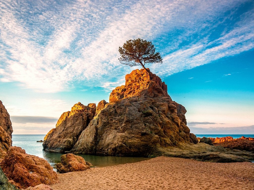 Обои вода, дерево, лучи, море, скала, рассвет, water, tree, rays, sea, rock, dawn разрешение 1920x1200 Загрузить