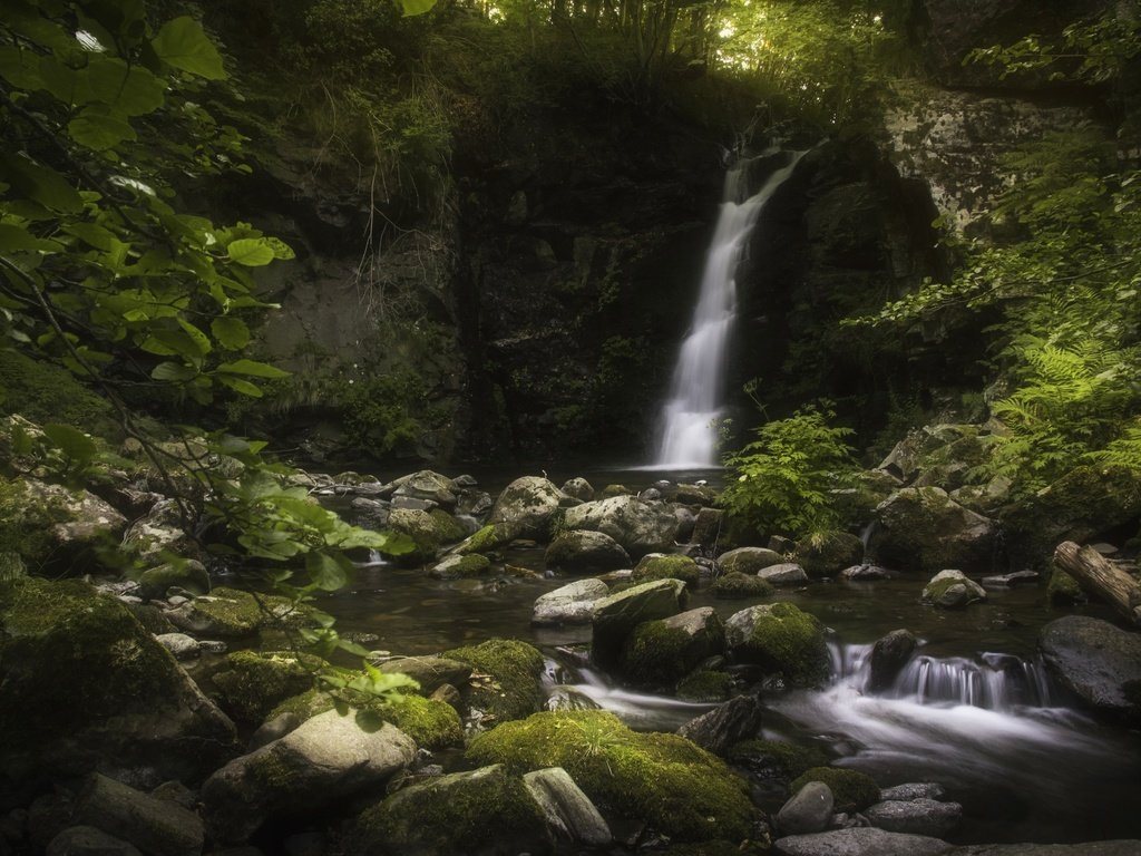 Обои вода, камни, водопад, мох, water, stones, waterfall, moss разрешение 4000x2667 Загрузить