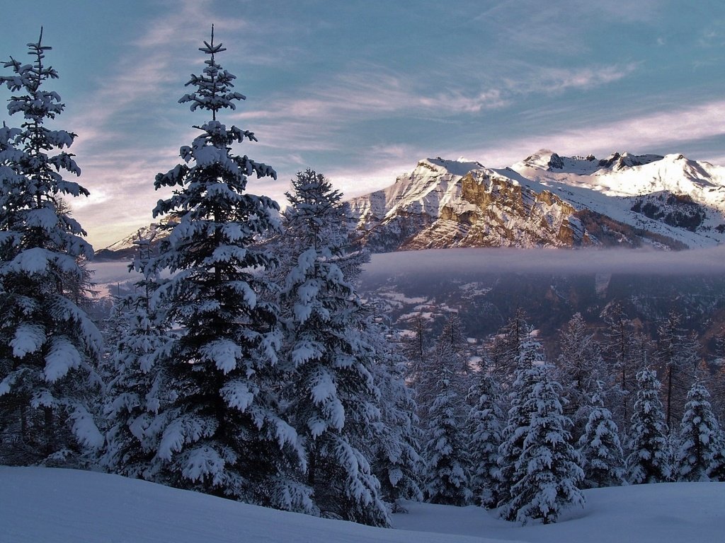 Обои горы, природа, лес, зима, пейзаж, mountains, nature, forest, winter, landscape разрешение 1920x1200 Загрузить
