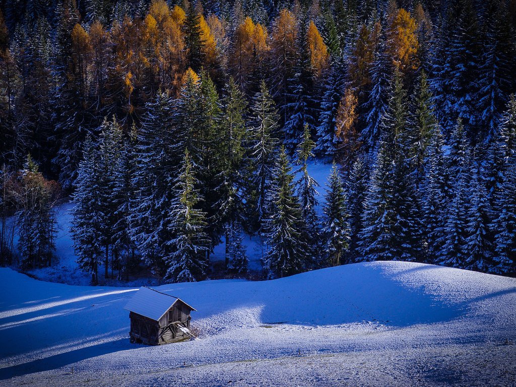 Обои деревья, снег, природа, лес, зима, домик, trees, snow, nature, forest, winter, house разрешение 1920x1200 Загрузить