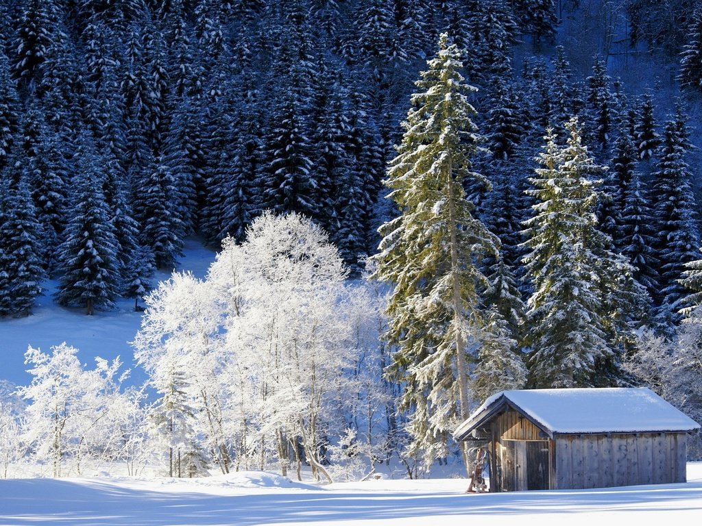 Обои деревья, снег, природа, лес, зима, домик, германия, бавария, trees, snow, nature, forest, winter, house, germany, bayern разрешение 2048x1369 Загрузить