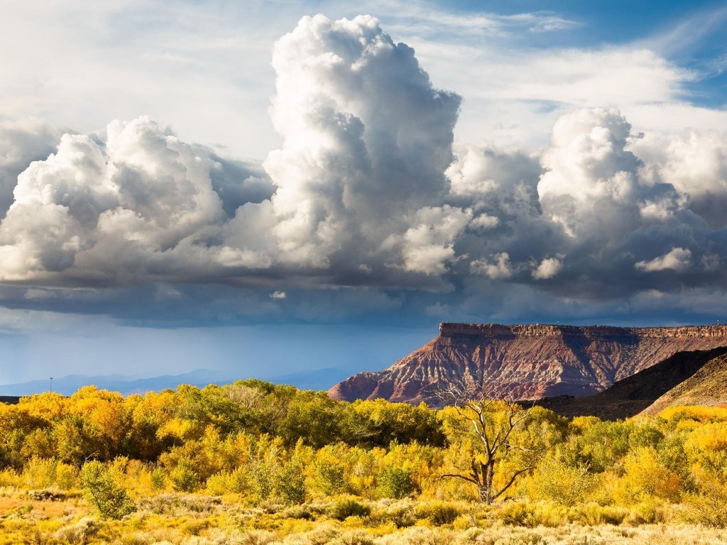 Обои небо, холм, облака, долина, природа, zion national park, горный хребет, пейзаж, поле, горизонт, луг, пастбище, the sky, hill, clouds, valley, nature, mountain range, landscape, field, horizon, meadow, pasture разрешение 2048x1365 Загрузить