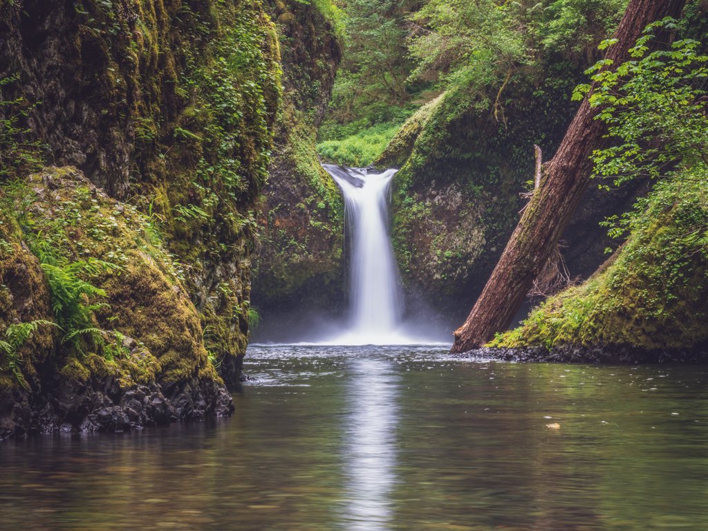 Обои вода, punchbowl falls, columbia river gorge, река, природа, растения, лес, водопад, поток, джунгли, water, river, nature, plants, forest, waterfall, stream, jungle разрешение 2000x1333 Загрузить