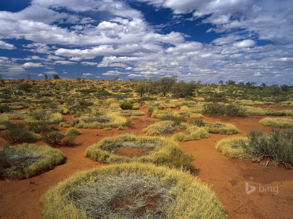 Обои небо, трава, облака, пустыня, австралия, кольца, the sky, grass, clouds, desert, australia, ring разрешение 1920x1200 Загрузить