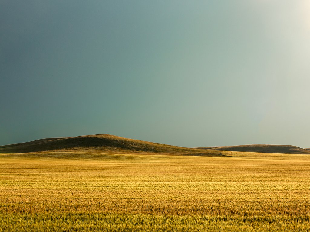 Обои небо, todd klassy, природа, поле, горизонт, сша, пшеница, холм, монтана, the sky, nature, field, horizon, usa, wheat, hill, montana разрешение 2048x1365 Загрузить