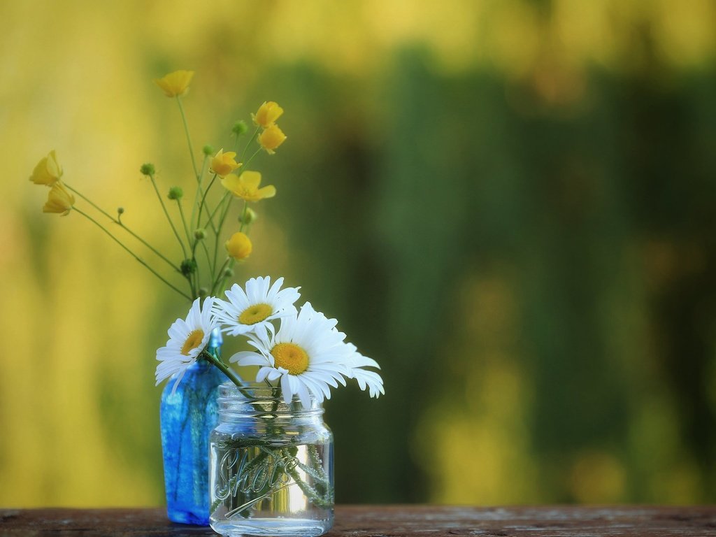 Обои ромашки, полевые цветы, банка, бутылочка, боке, лютики, chamomile, wildflowers, bank, bottle, bokeh, buttercups разрешение 2048x1365 Загрузить