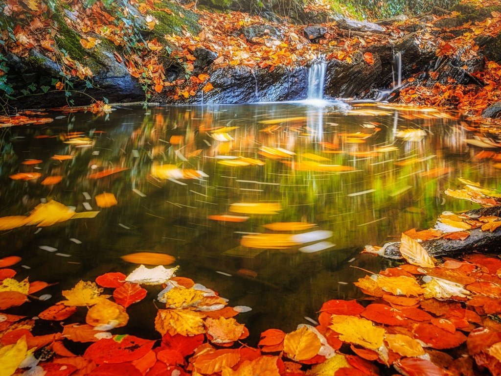 Обои вода, листья, водопад, осень, поток, water, leaves, waterfall, autumn, stream разрешение 2048x1198 Загрузить