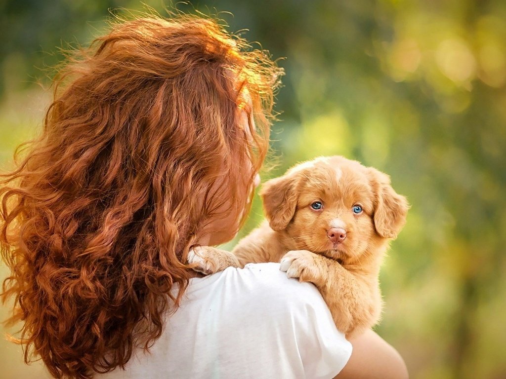 Обои девушка, настроение, собака, щенок, голубые глаза, рыжеволосая, girl, mood, dog, puppy, blue eyes, redhead разрешение 1920x1200 Загрузить