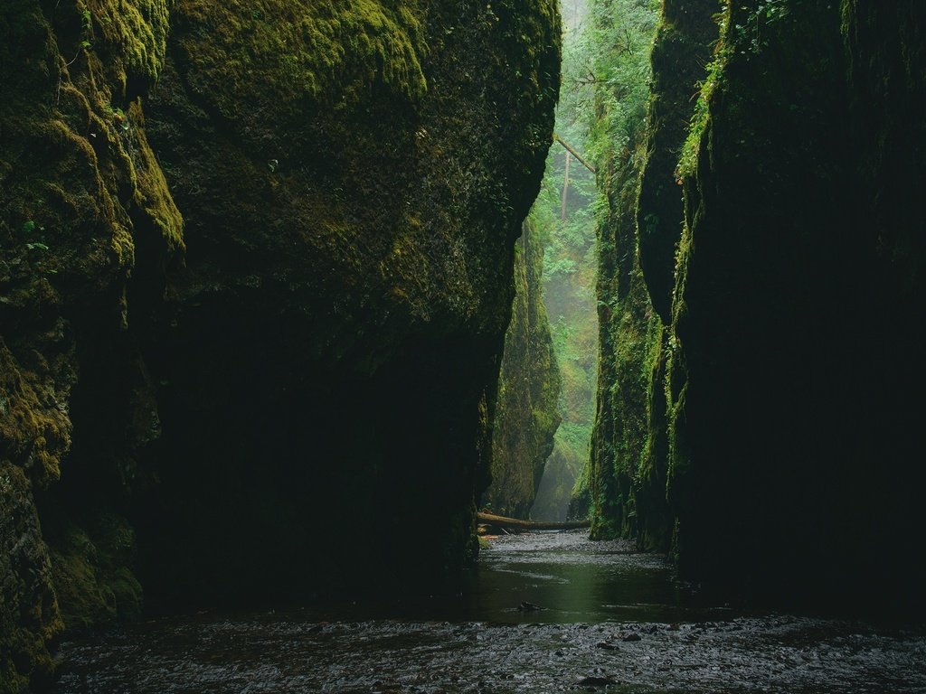 Обои вода, камни, каньон, ущелье, мох, water, stones, canyon, gorge, moss разрешение 2000x1500 Загрузить