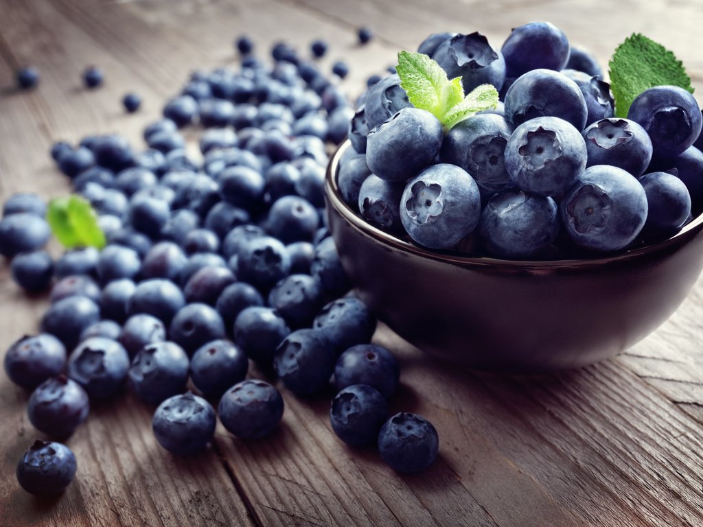 Обои черника, blueberries разрешение 8688x5792 Загрузить