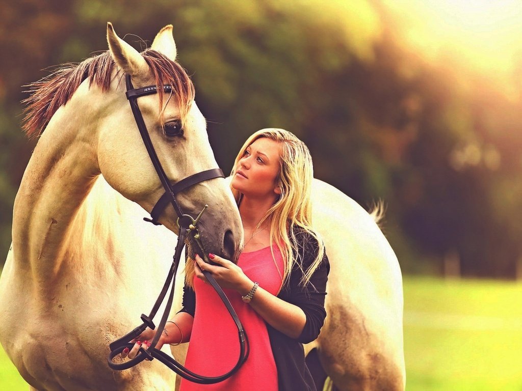 Обои лошадь, девушка, поза, блондинка, взгляд, лицо, конь, horse, girl, pose, blonde, look, face разрешение 1920x1086 Загрузить