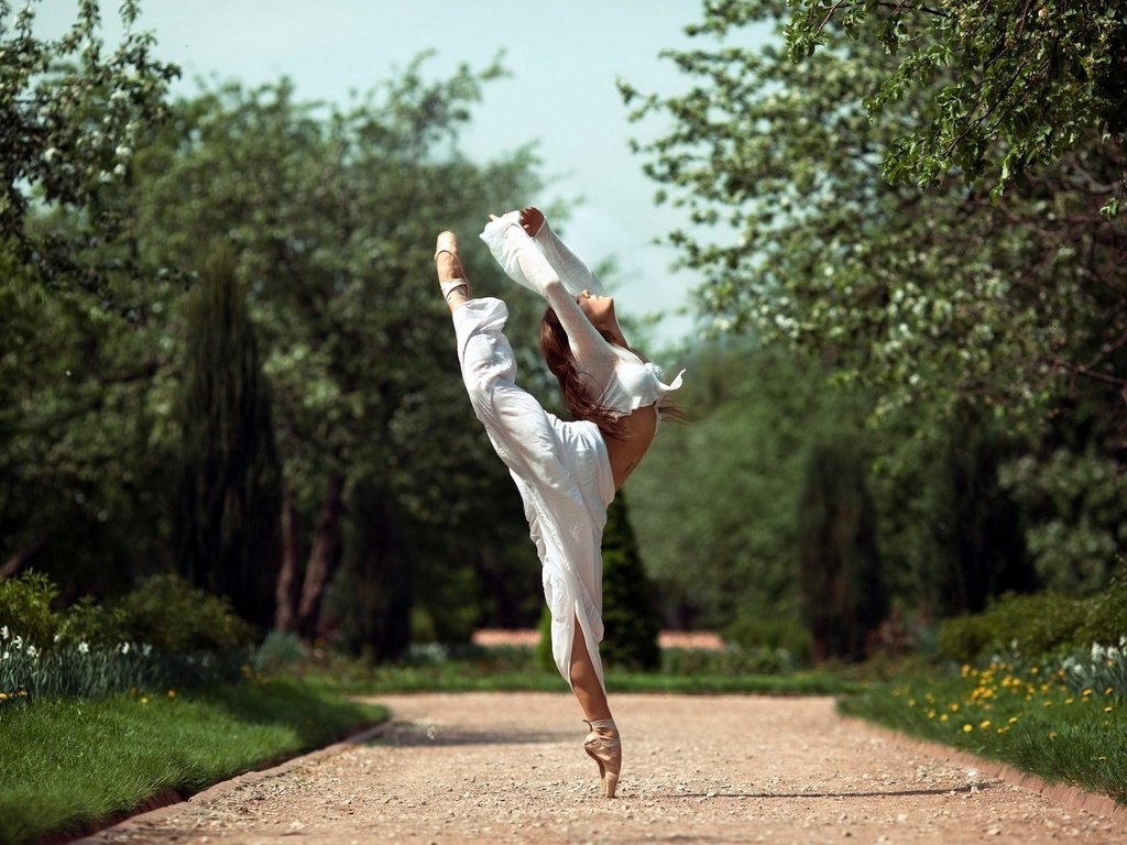 Обои деревья, девушка, парк, танец, балерина, trees, girl, park, dance, ballerina разрешение 1920x1302 Загрузить