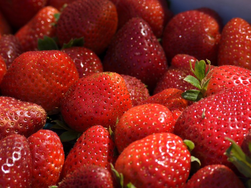 Обои клубника, ягоды, спелые, сладкие, strawberry, berries, ripe, sweet разрешение 5806x3125 Загрузить