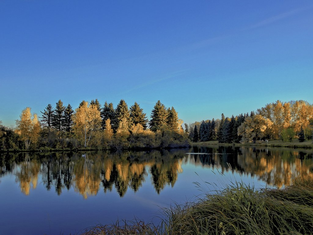 Обои небо, деревья, река, природа, лес, отражение, пейзаж, diego lapetina, the sky, trees, river, nature, forest, reflection, landscape разрешение 1920x1200 Загрузить