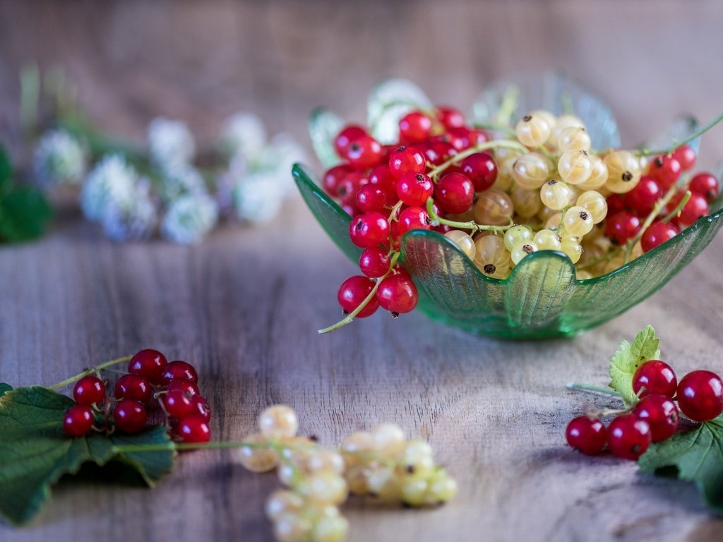 Обои ягоды, листики, вкусно, смородина, спелые, веточки, berries, leaves, delicious, currants, ripe, twigs разрешение 2048x1230 Загрузить