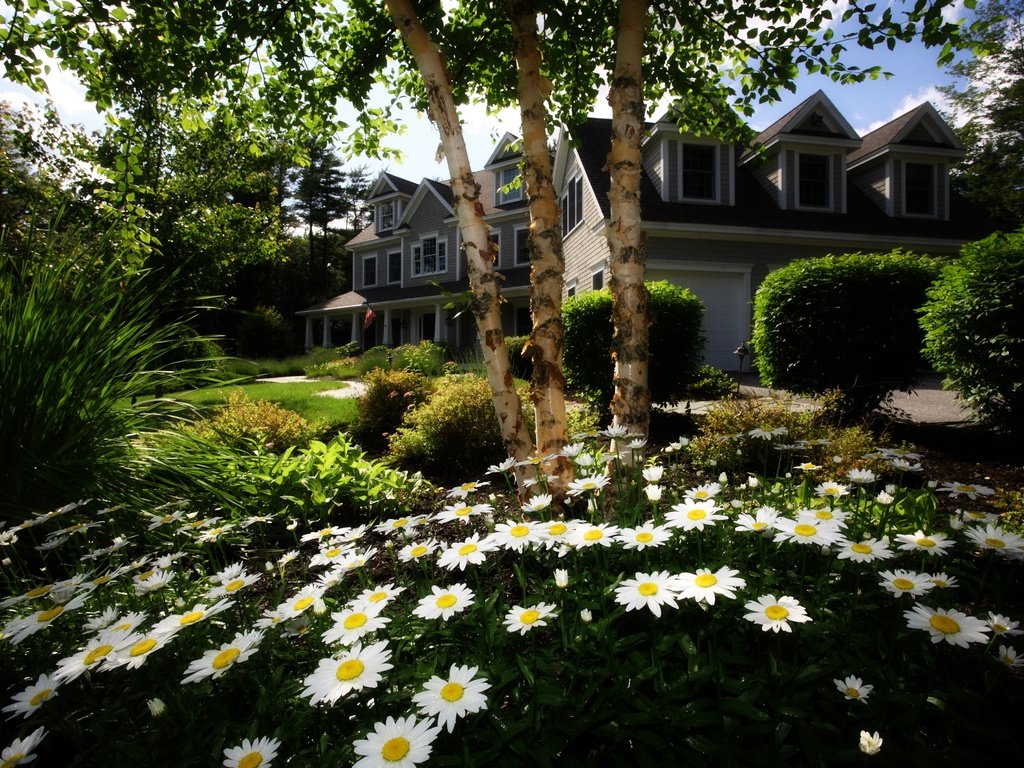 Обои цветы, трава, деревья, сад, дом, ромашки, лужайка, коттедж, flowers, grass, trees, garden, house, chamomile, lawn, cottage разрешение 4000x2776 Загрузить