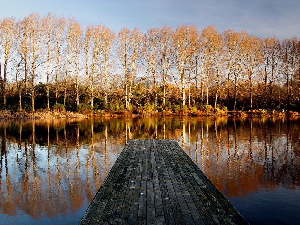 Обои деревья, осень, вода, пирс, озеро, природа, мостик, лес, отражение, пейзаж, trees, autumn, water, pierce, lake, nature, the bridge, forest, reflection, landscape разрешение 2400x1535 Загрузить