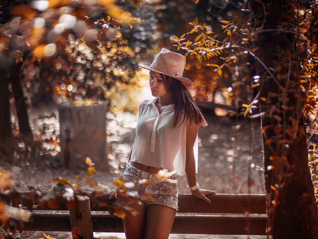 Обои деревья, девушка, осень, забор, блики, шляпа, шорты, trees, girl, autumn, the fence, glare, hat, shorts разрешение 2583x1722 Загрузить