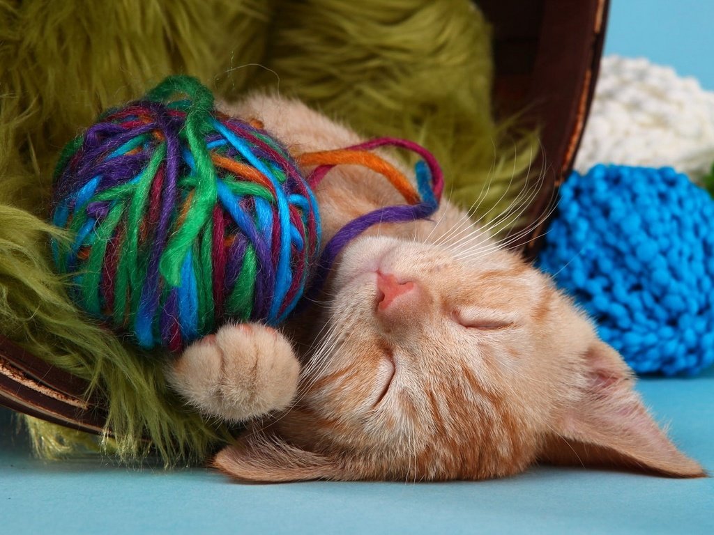 Обои кот, кошка, сон, котенок, спит, рыжий, клубки, нитки, пряжа, yarn, cat, sleep, kitty, sleeping, red, balls, thread разрешение 2048x1152 Загрузить