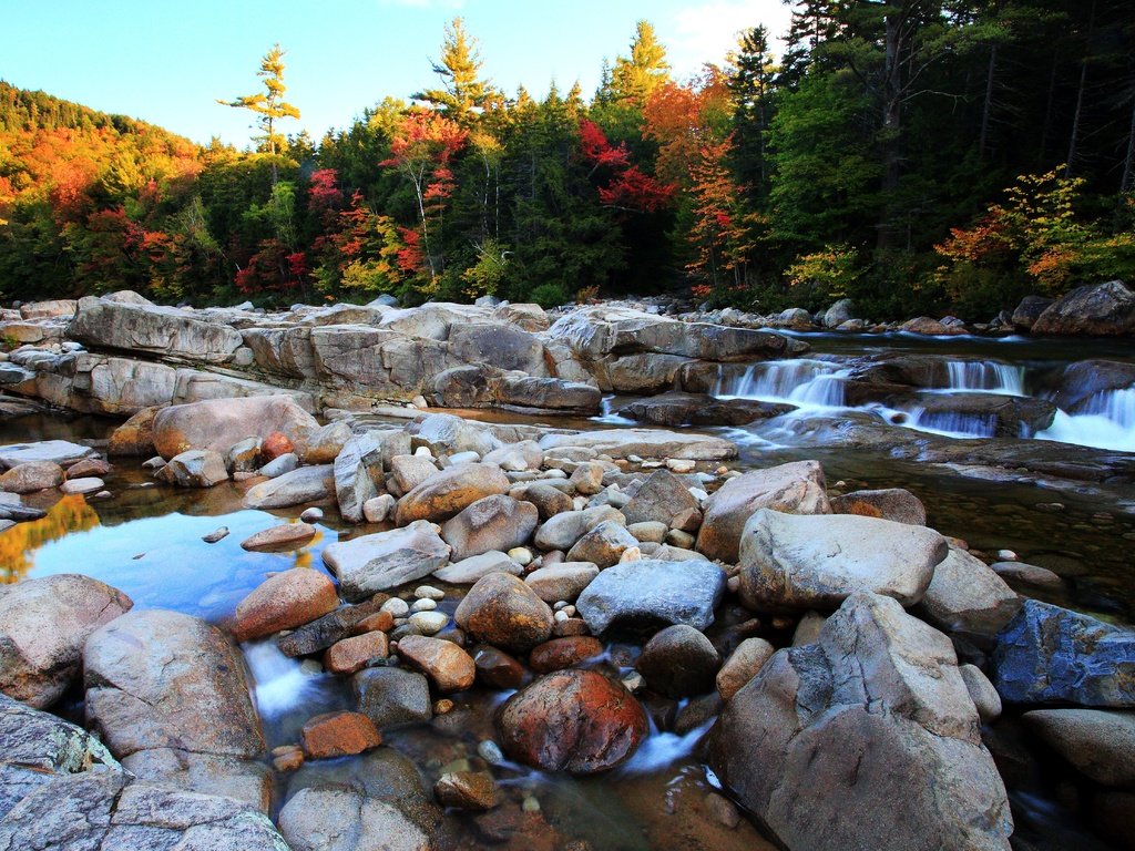 Обои деревья, река, камни, лес, осень, поток, булыжники, trees, river, stones, forest, autumn, stream разрешение 4997x3339 Загрузить