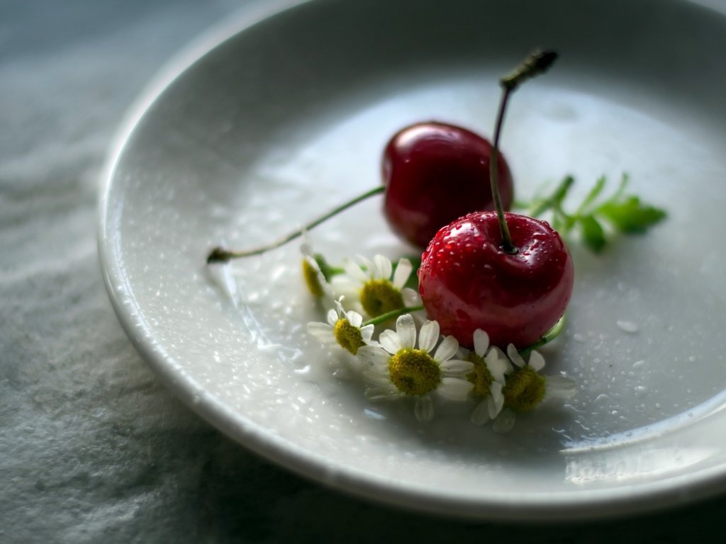 Обои цветы, ромашка, черешня, блюдце, ягоды, вишня, julie jablonski, flowers, daisy, cherry, saucer, berries разрешение 2560x1663 Загрузить