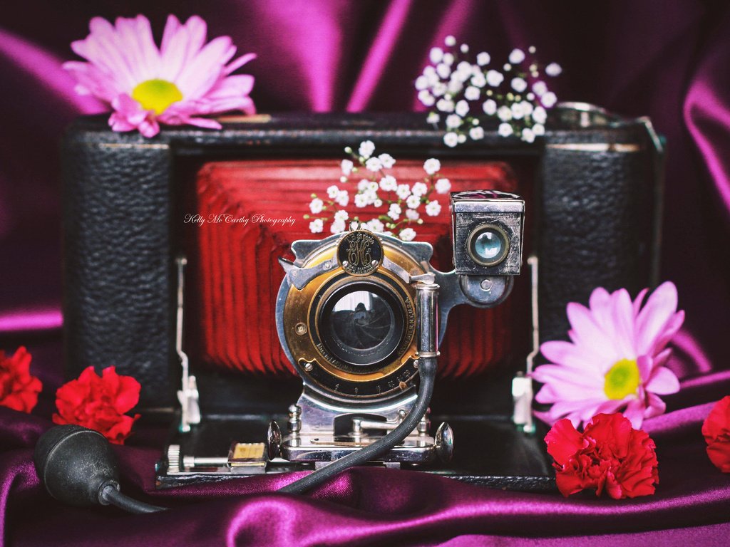 Обои цветы, ретро, фотоаппарат, камера, okelly mccarthy, flowers, retro, the camera, camera разрешение 4893x3212 Загрузить