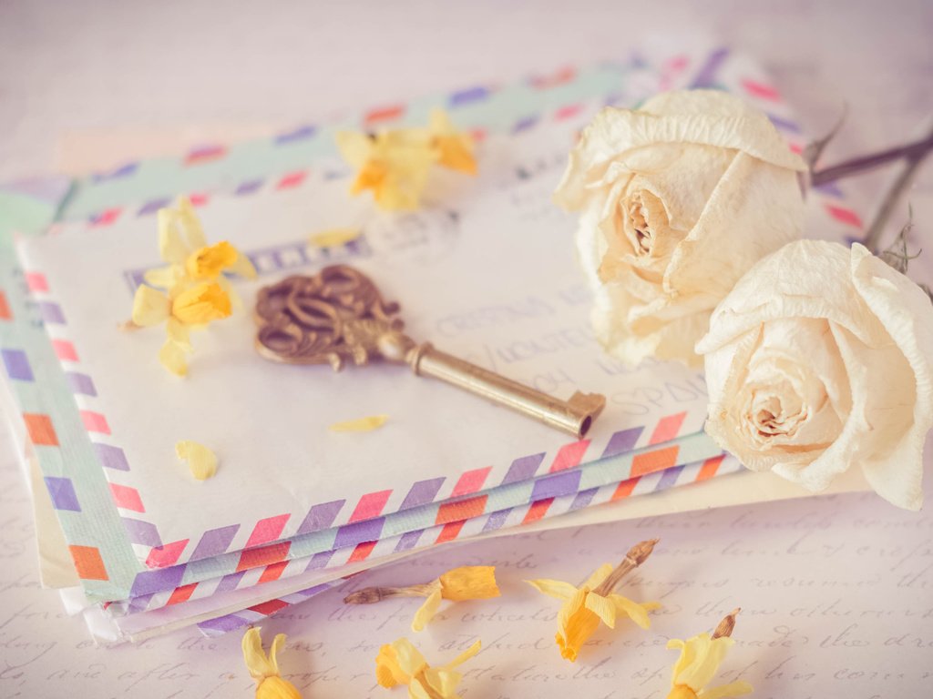 Обои цветы, розы, ключ, конверт, письма, ключик, flowers, roses, key, the envelope, letters разрешение 2880x1800 Загрузить