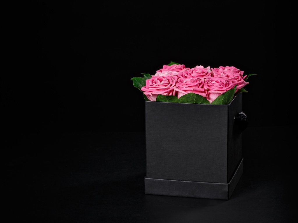 Обои цветы, розы, черный фон, розовые, подарок, коробка, flowers, roses, black background, pink, gift, box разрешение 5472x3648 Загрузить