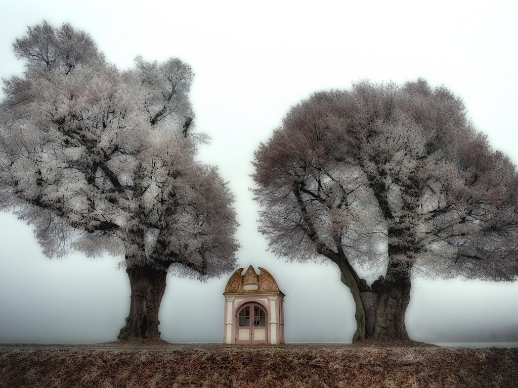 Обои деревья, природа, туман, часовня, trees, nature, fog, chapel разрешение 2048x1274 Загрузить