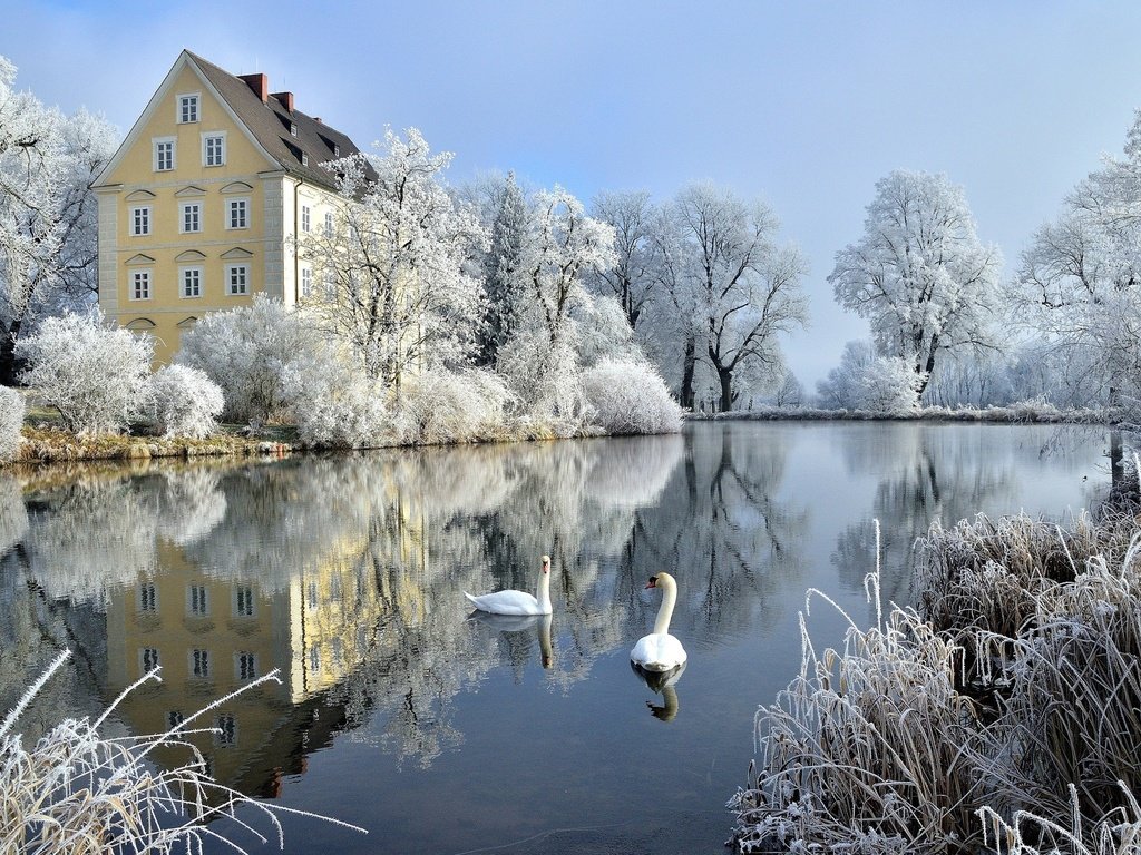 Обои деревья, германия, зима, лебеди, отражение, бавария, кусты, schloss erching, халльбергмос, замок, hallbergmoos, иней, птицы, пруд, trees, germany, winter, swans, reflection, bayern, the bushes, castle, frost, birds, pond разрешение 2048x1279 Загрузить