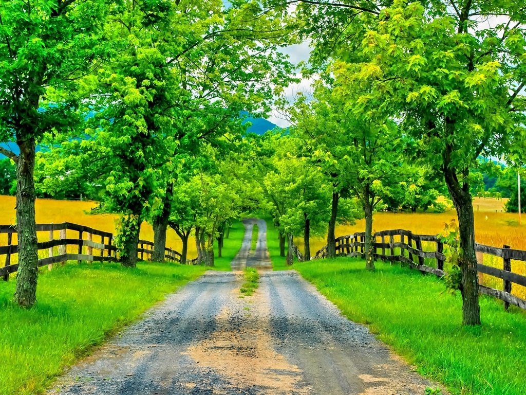 Обои дорога, деревья, горы, зелень, забор, весна, road, trees, mountains, greens, the fence, spring разрешение 3064x2029 Загрузить