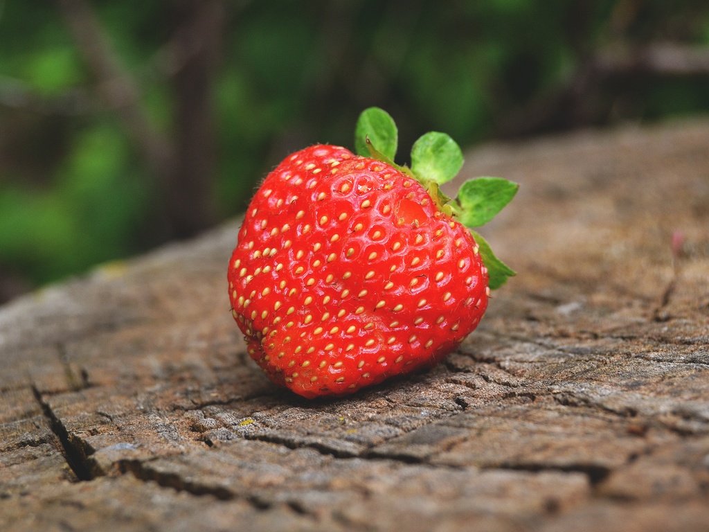 Обои макро, лето, ягода, клубника, пень, macro, summer, berry, strawberry, stump разрешение 4608x3072 Загрузить