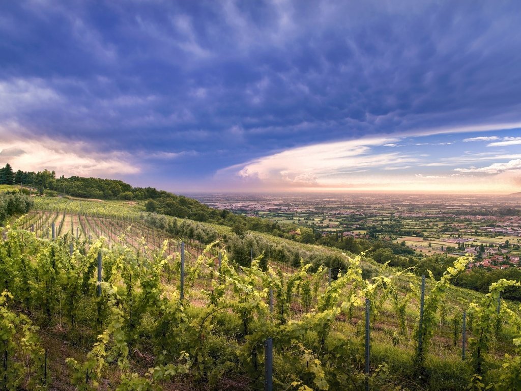 Обои небо, облака, холмы, природа, закат, долина, виноградник, the sky, clouds, hills, nature, sunset, valley, vineyard разрешение 2048x1367 Загрузить