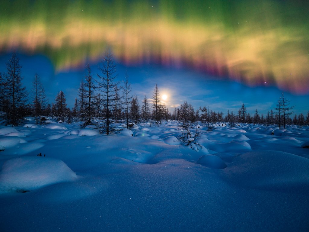 Обои небо, ночь, снег, лес, зима, пейзаж, северное сияние, the sky, night, snow, forest, winter, landscape, northern lights разрешение 2700x1800 Загрузить