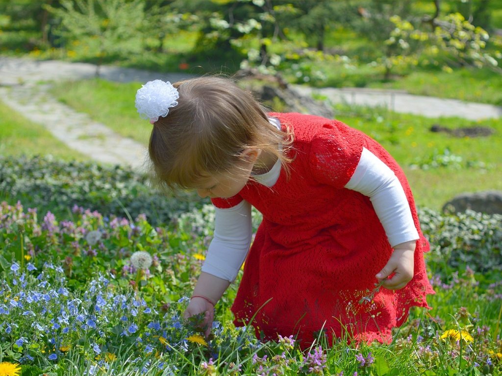 Обои цветы, природа, дети, девочка, ребенок, полевые цветы, flowers, nature, children, girl, child, wildflowers разрешение 3000x1897 Загрузить