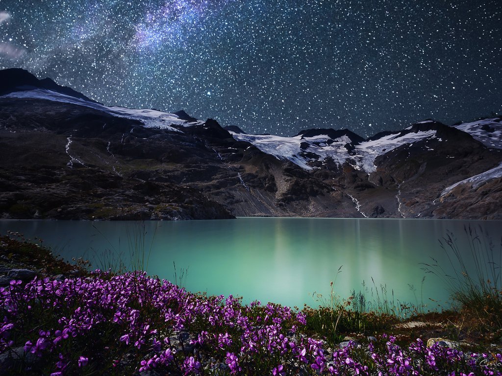 Обои цветы, ночь, озеро, горы, природа, звезды, simone cmoon, flowers, night, lake, mountains, nature, stars разрешение 1920x1200 Загрузить