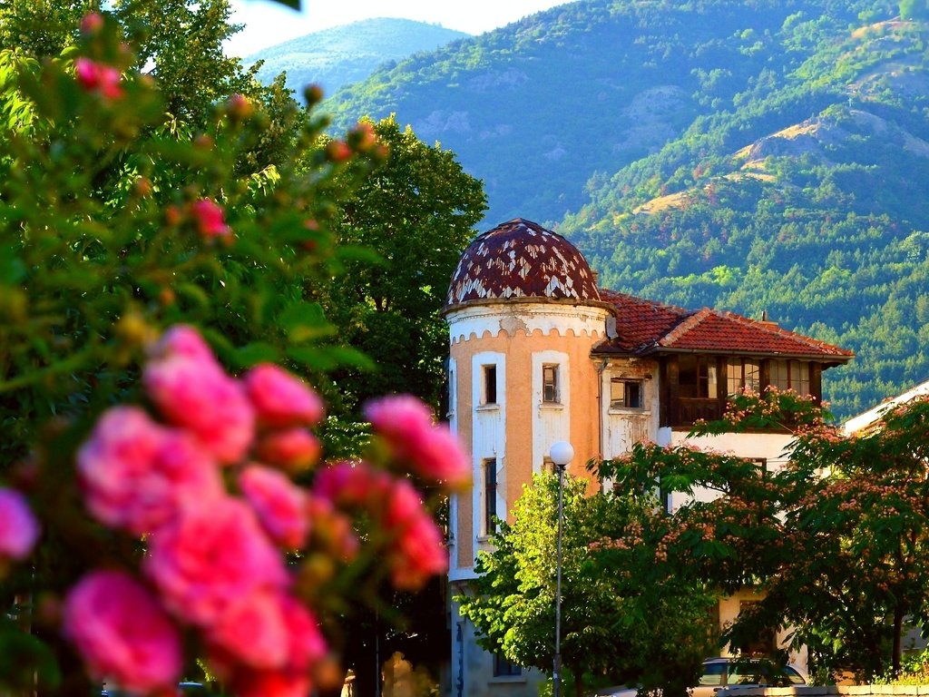 Обои горы, природа, розы, здания, старый дом, mountains, nature, roses, building, old house разрешение 2967x1803 Загрузить