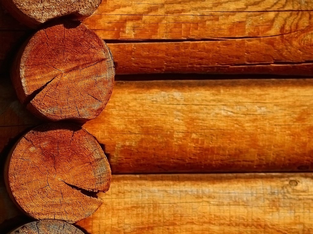 Обои дерево, стена, круги, трещины, сруб, древесина, бревна, tree, wall, circles, cracked, frame, wood, logs разрешение 1920x1280 Загрузить