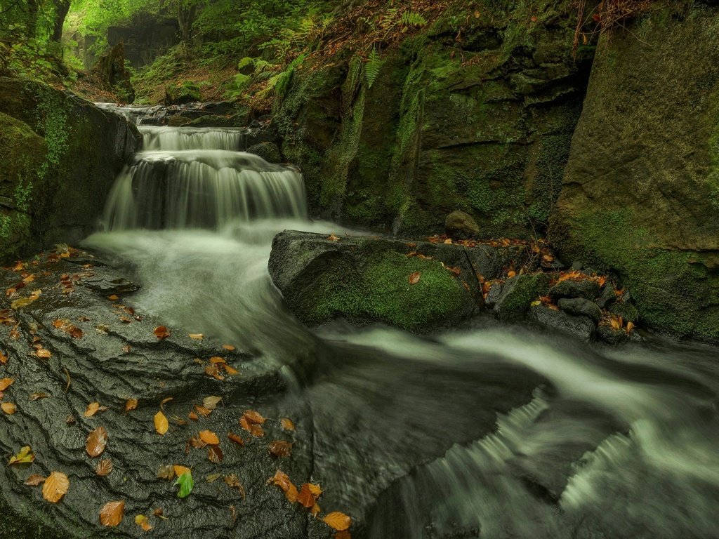 Обои скалы, камни, листья, ручей, водопад, осень, мох, каскад, rocks, stones, leaves, stream, waterfall, autumn, moss, cascade разрешение 2048x1273 Загрузить