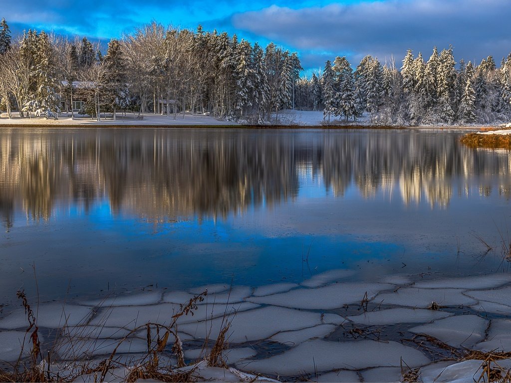 Обои озеро, природа, лес, зима, пейзаж, lake, nature, forest, winter, landscape разрешение 1920x1200 Загрузить