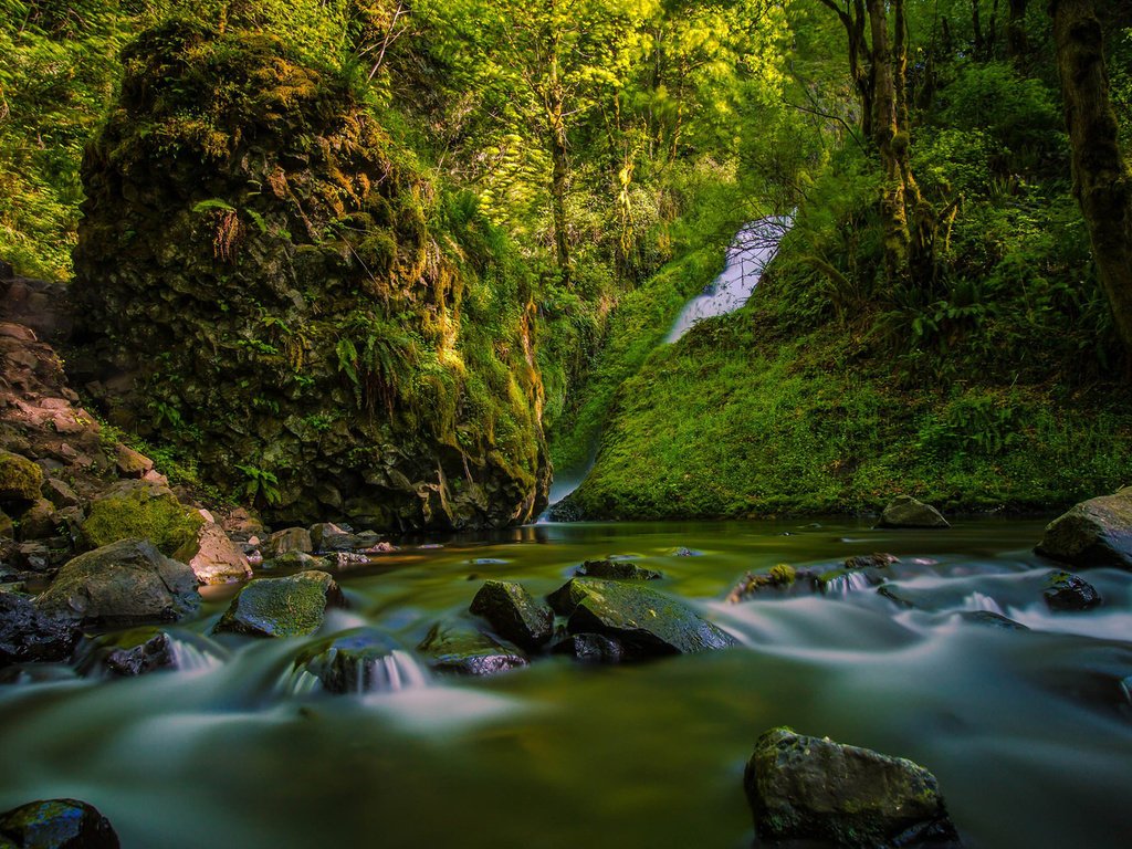 Обои река, скалы, природа, лес, водопад, river, rocks, nature, forest, waterfall разрешение 1920x1200 Загрузить