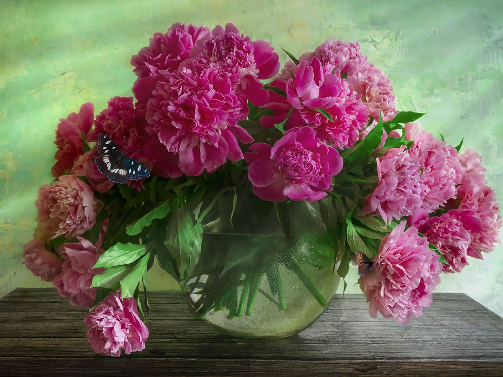 Обои цветы, бабочка, ваза, аквариум, столик, пионы, flowers, butterfly, vase, aquarium, table, peonies разрешение 1920x1281 Загрузить