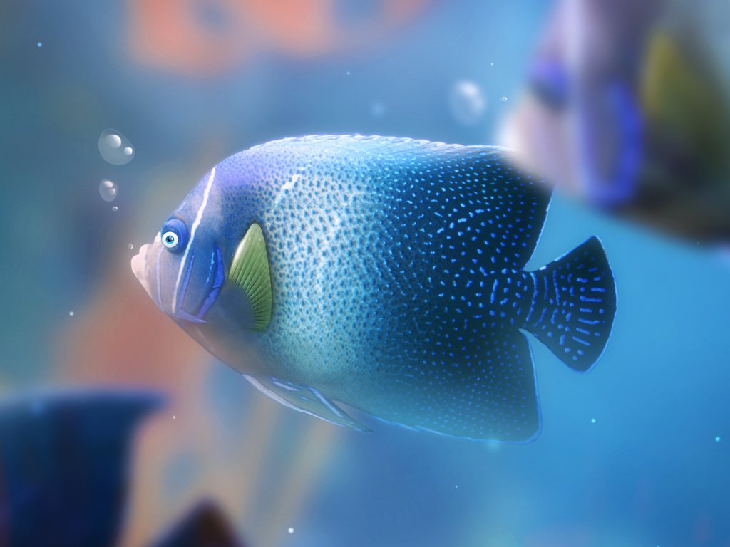 Обои пузыри, аквариум, рыба, bubbles, aquarium, fish разрешение 2560x1440 Загрузить