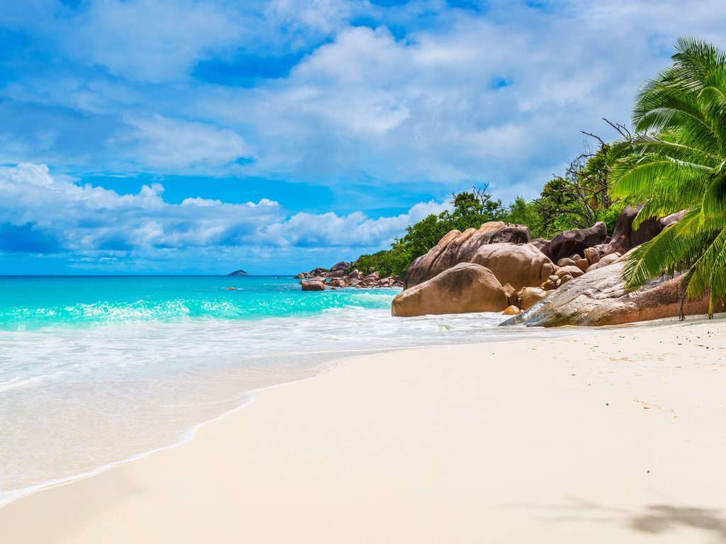 Обои море, пляж, остров, тропики, сейшелы, sea, beach, island, tropics, seychelles разрешение 6605x4408 Загрузить