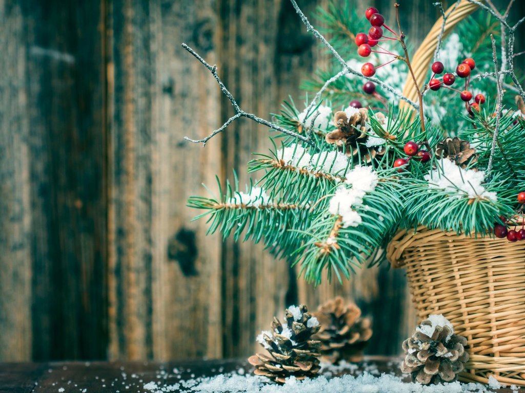 Обои новый год, елка, ветки, корзина, рождество, шишки, new year, tree, branches, basket, christmas, bumps разрешение 1920x1200 Загрузить