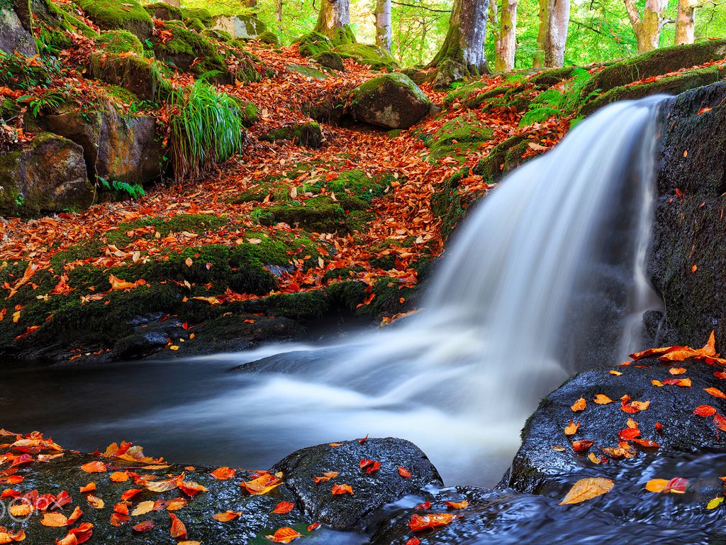 Обои река, природа, лес, листья, водопад, осень, frederick bancale, river, nature, forest, leaves, waterfall, autumn разрешение 1920x1200 Загрузить