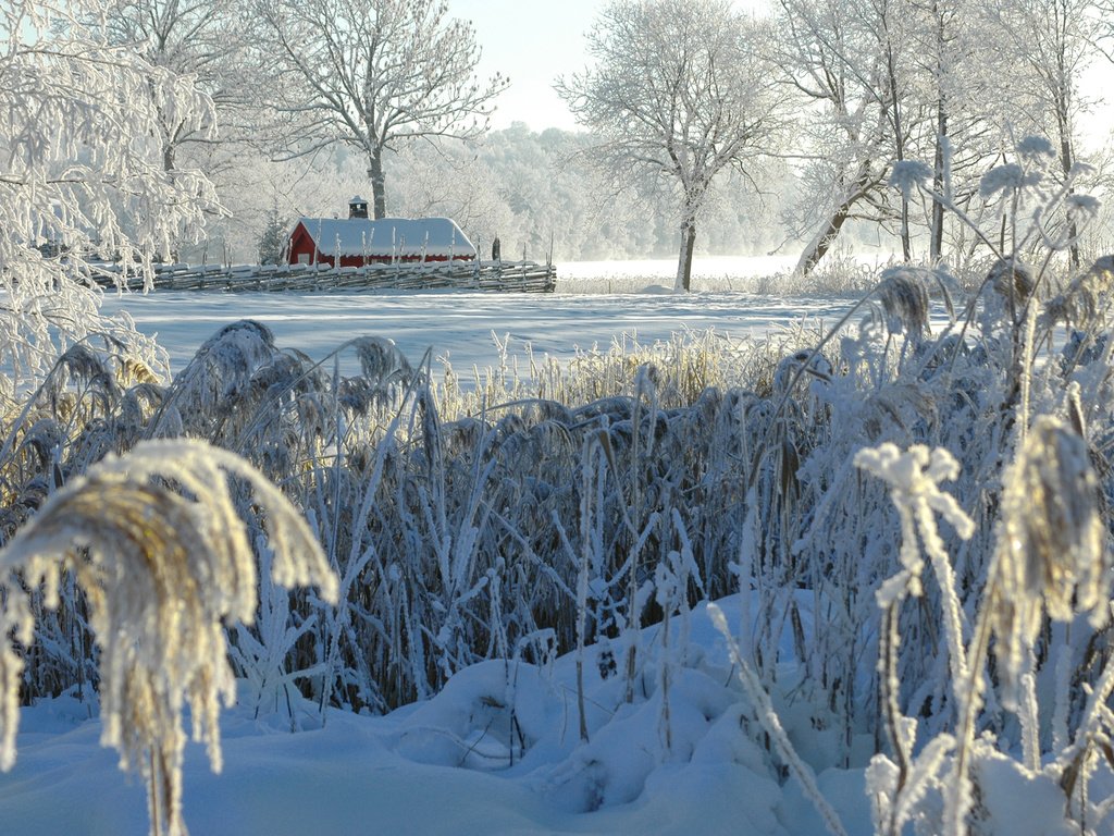 Обои деревья, снег, природа, зима, кусты, иней, деревня, домик, trees, snow, nature, winter, the bushes, frost, village, house разрешение 2880x1800 Загрузить