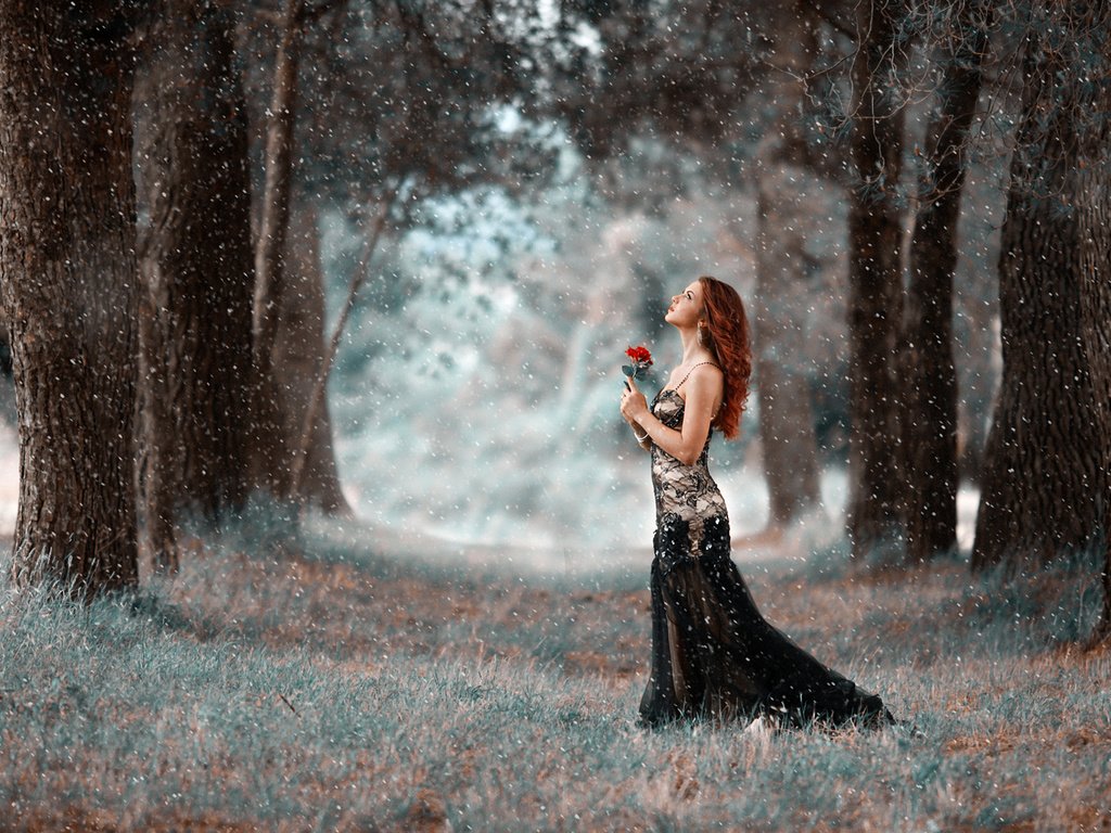 Обои деревья, девушка, парк, платье, цветок, прогулка, снегопад, trees, girl, park, dress, flower, walk, snowfall разрешение 1920x1200 Загрузить